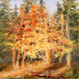 Liesel Lund - "Woods Of My Heart"