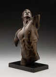 Charlotte Ann Szynskie - "Male Torso"