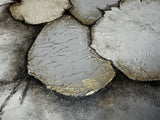 Sherry Shefts - "Fissured Bloom"