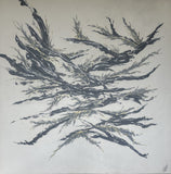 Sherry Shefts - "Velocity's Fluid Dance"