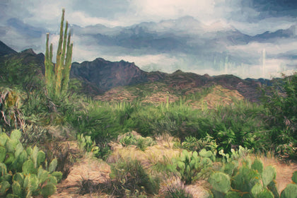 CATALINAS - Photography Photography by artist Curtis Brannum