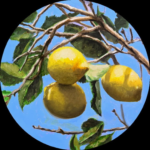 Catherine Mills - "Lemon Tree"