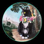 Catherine Mills - "Catverse"