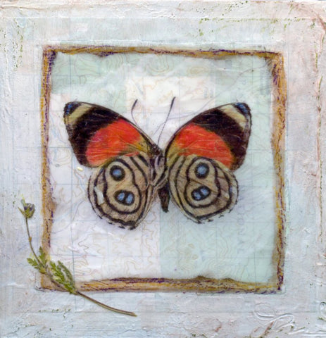 Butterfly Collection #6 - Mixed Media on Panel Collage by artist Judith Monroe