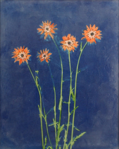 Anne Stuer - "Cyan Garden #15110"