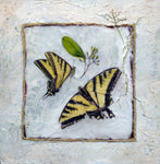 Butterfly Collection #3 - Mixed Media on Panel Collage by artist Judith Monroe
