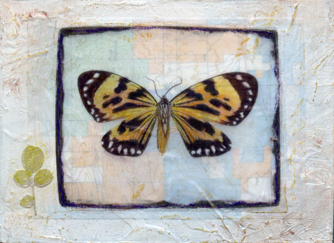 Butterfly Collection #8 - Mixed Media on Panel Collage by artist Judith Monroe