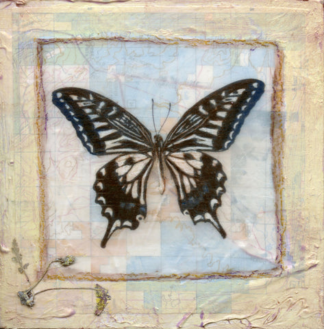 Butterfly Collection #9 - Mixed Media on Panel Collage by artist Judith Monroe
