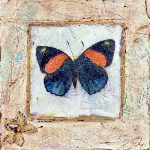 Butterfly Collection #14 - Mixed Media on Panel Collage by artist Judith Monroe