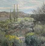 The Blooming Desert - Oil Paintings by artist John Horejs