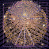 Stephen Carpenter - "We are the stuff of stars - the universe knows"