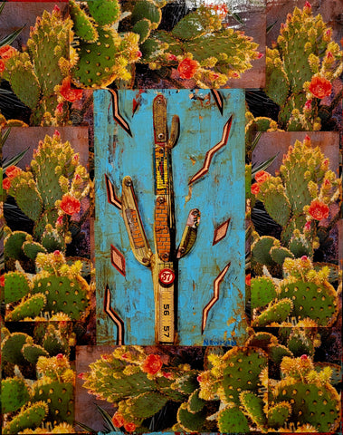 Dave Newman - "The Joy of Cactus"