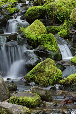 Lu Ross - "Almost There"