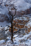 artboost-offering-image:126_variant_primary_1787183115_9a06f94637a13aadeb64.jpg