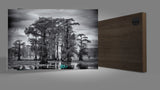 Doreen McGunagle - "Caddo Lake 74"