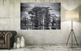 Doreen McGunagle - "Caddo Lake 74"
