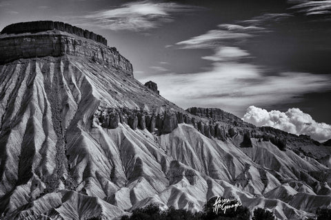 Doreen McGunagle - "Veins of the Silent Peak"