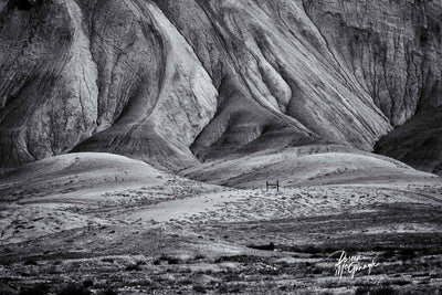 Doreen McGunagle - "Contours Beneath the Frame"