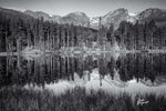 Doreen McGunagle - "Reflected Calk at Mountain's Edge"