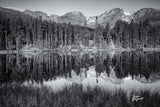 Doreen McGunagle - "Reflected Calk at Mountain's Edge"