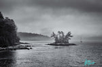 Doreen McGunagle - "Mystic Monochrome: Rain-Kissed Tranquility"