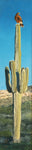 Bethany Stephan - "Saguaro Looking West"