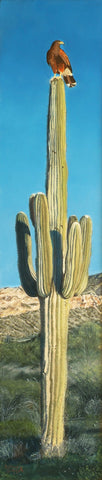Bethany Stephan - "Saguaro Looking West"