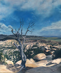 Bethany Stephan - "Sentinel"