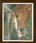 Nancy Smyth - "Salt River Grazing"