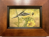 Nancy Smyth - "Goldfinch"