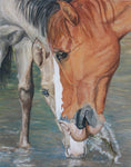 Nancy Smyth - "Salt River Grazing"