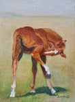 Nancy Smyth - "I've Got An Itch"