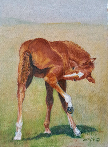 Nancy Smyth - "I've Got An Itch"