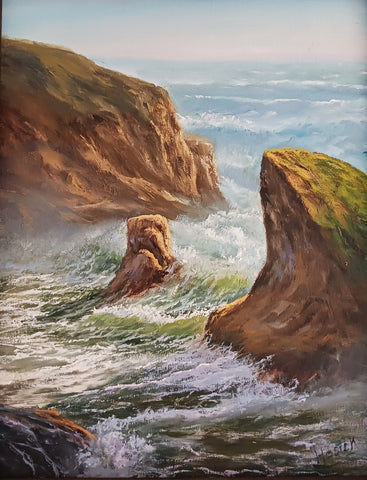 Daryl Hosick - "Sharks Fin Cove"