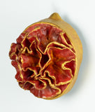 Leah K Read - "Hope Unfolding"