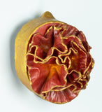 Leah K Read - "Hope Unfolding"