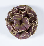 Leah K Read - "Whispers of Renewal"