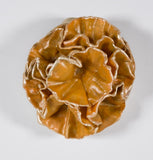 Leah K Read - "Threads of Hope"