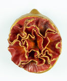 Leah K Read - "Hope Unfolding"