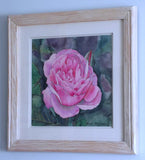 Bradley McLean - "Pink Beauty"