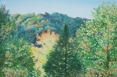 Bradley McLean - "Fire from the Balcony"