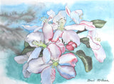 Bradley McLean - "Apple Blossoms"