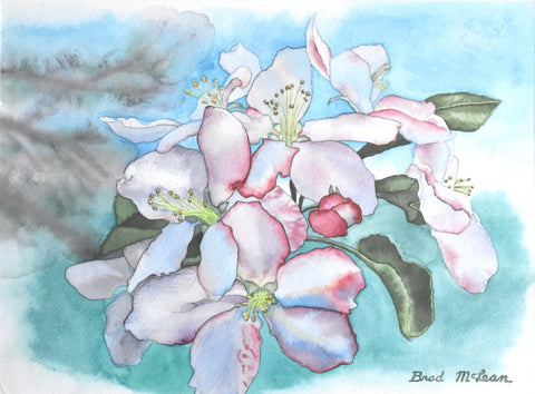 Bradley McLean - "Apple Blossoms"