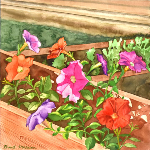 Bradley McLean - "Petunia Box"