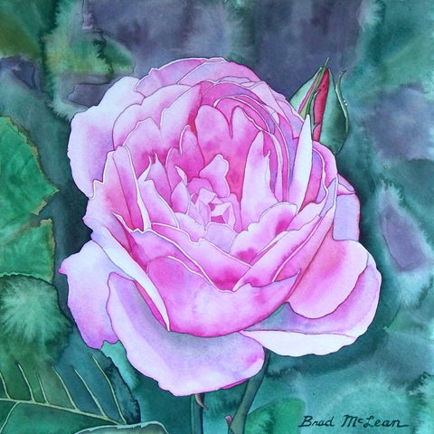 Bradley McLean - "Pink Beauty"