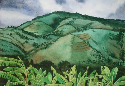 Bradley McLean - "La Colline Tropicale"