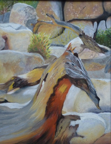 Susan Larisch Frommer - "Joshua Tree Dragon"