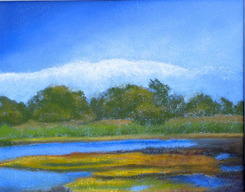 Susan Larisch Frommer - "Winter at the Vernal Pools"