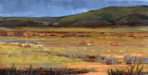 Marjorie Lindsay - "Medina Lake, March 2025"