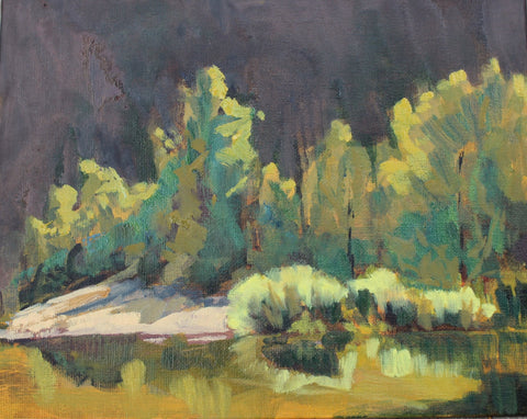 Kim Freeman - "Plein Air in the Kootenay"